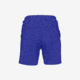 Norrona Senja Flex1 8in Shorts - Womens, Royal Blue, Extra Small, 5809-23-2011-XS