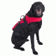 NRS CFD Dog Life Jacket, Red, XS 40023.01.104