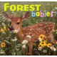 Ntl Book Network Forest Babies 9781559718745