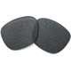 Oakley Enduro Polarized Replacement Lenses 100-872-002