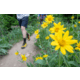 Oboz Bozeman II Hiking Shoes - Mens
