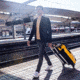 Ortlieb Duffle RG w/ Telescopic Handle, 85L, Sunyellow/Black, Sun Yellow/Black, PVC / Nylon, 5 Year MFG Warranty, ORT-39413