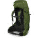 Osprey Aether 65 Pack, Garlic Mustard Green, Small/Medium, 10002952