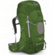 Osprey Aether 85 Backpack, Bonsai Green, Medium, Non AG, 013085-702-2-MD