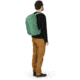 Osprey Centauri Pack, Tortuga Green, One Size, 10002816