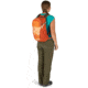 Osprey Daylite Plus Backpack, Desert Orange, 10001644
