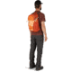 Osprey Daylite Plus Backpack, Desert Orange, 10001644