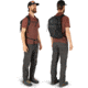 Osprey Daylite Plus Pack, Black , One Size, 10002925