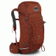 Kestrel 28 L Mens Backpack-M/L-Dragon Red