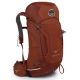 Osprey Kestrel 28 L Mens Backpack