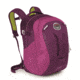 Pogo 24 Pack -Playful Purple