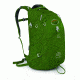 Osprey Quantum Pack-Fern