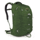 Osprey Quasar Pack-Fern Green