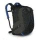 Osprey Talia 30 Backpack, Womens, Black Orchid, One Size 10001208