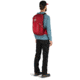 Osprey Talon 22 Pack, Cosmic Red, Small/Medium, 10002709