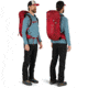 Osprey Talon 33 Pack, Cosmic Red, Small/Medium, 10002694