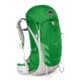 Talon 33 Pack -Shamrock Green-S/M