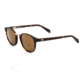OTIS A DAY LATE Sunglasses, Matte Dark Tort/Brown Polar, 50-23-140, 25-1801P
