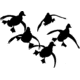 Outdoor Decals Jukin Ducks 6''x6'' White
