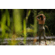 Outdoor Research Vantage Light Support Bra - Womens, Fatigue, Small, 2876500740006