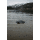 Outdoor Tech Turtleshell 4.0 Wireless Speaker, Black, 101185