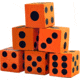 Outside Inside Backpack Dice Set 99962