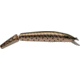 P-Line Angry Eye Predator Jointed Minnow Bait, 6.5in, Rainbow Trout, PPAE-12