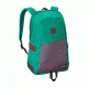 Patagonia Ironwood 20 L Backpack-Emerald