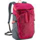 Patagonia Petrolia Pack 28L-Craft Pink