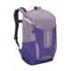 Patagonia Yerba Backpack 24 L-Rustic Purple-24 L