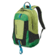 Patagonia Yerba Pack-Electric Green