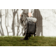 Peak Design Everyday V2 Backpack, 20 Liters, Charcoal, BEDB-20-CH-3