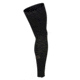 Pearl Izumi Elite Thermal Leg Warmers, Black, 6950258442411