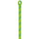 Petzl 12.5mm 2S Control Rope, Green, 45 m, R080DA00