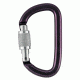 Petzl Am'D Carabiner, Gray, Screw-Lock, M34A SL