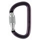Petzl Am'D Carabiner, Gray, Screw-Lock, M34A SL