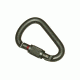 Petzl Attache Lock Carabiner Green M35 SLG