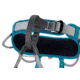 Petzl Corax LT Climbing Harness - Women's, Turquoise, XS, C052BA00