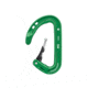Petzl Ange Carabiner