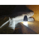 PowerTraveller Nightjar 150 Lumen Torch, Black, One Size, PTL-NJL008