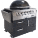 Primo Ceramic Grills Oval X-Large Gas Grill, 21,000 Btu, Cart-Mounted, PGGXLC