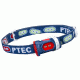 Princeton Tec Bot Headlamp, Blue / Red BOT-BL