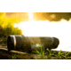 Pulsar Telos LRF XT50 2-16x50mm Thermal Monocular