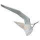 Quick Delta Type Anchor - 33lb Galvanized f/33-46' Boats 64164