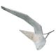 Quick Delta Type Anchor - 33lb Galvanized f/33-46' Boats, MSVANDTZN150QL