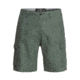 Quiksilver Rogue Surfwash 20 Inch Amphibian Boardshorts - Mens, Thyme, 34, EQYWS03589-CQY0-34