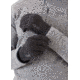 Rab Quest Infinium Gloves - Mens, Anthracite, Small, QAJ-13-ANT-SML