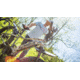 Rambo Bikes 1000W XP TrueTimber VSX Camo Enviolo Bike, 17AH, 1000 XPE