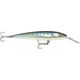 Rapala CountDown Magnum Elite 145 Jig, Armored Sardine, CDMAGE145AMSRD