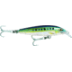 Rapala CountDown Magnum Lure, Sinking, Sardine, 2 3/8oz, 7in, CDMAG18SRD